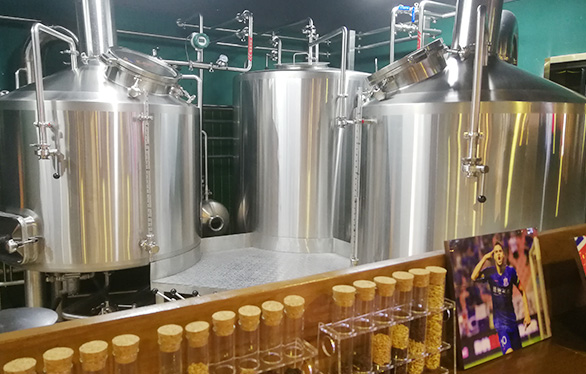 国内精酿啤酒厂项目